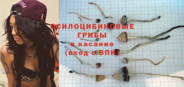 ГАЛЛЮЦИНОГЕННЫЕ ГРИБЫ Няндома
