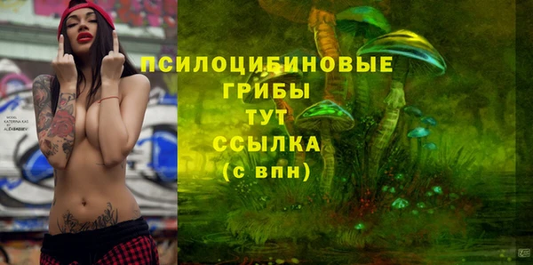 ГАЛЛЮЦИНОГЕННЫЕ ГРИБЫ Няндома