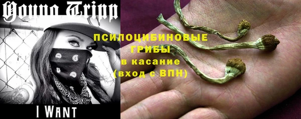 ГАЛЛЮЦИНОГЕННЫЕ ГРИБЫ Няндома