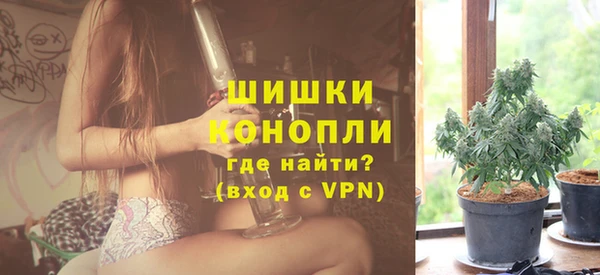 ГАЛЛЮЦИНОГЕННЫЕ ГРИБЫ Няндома