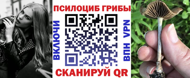 Галлюциногенные грибы Magic Shrooms  Кострома 